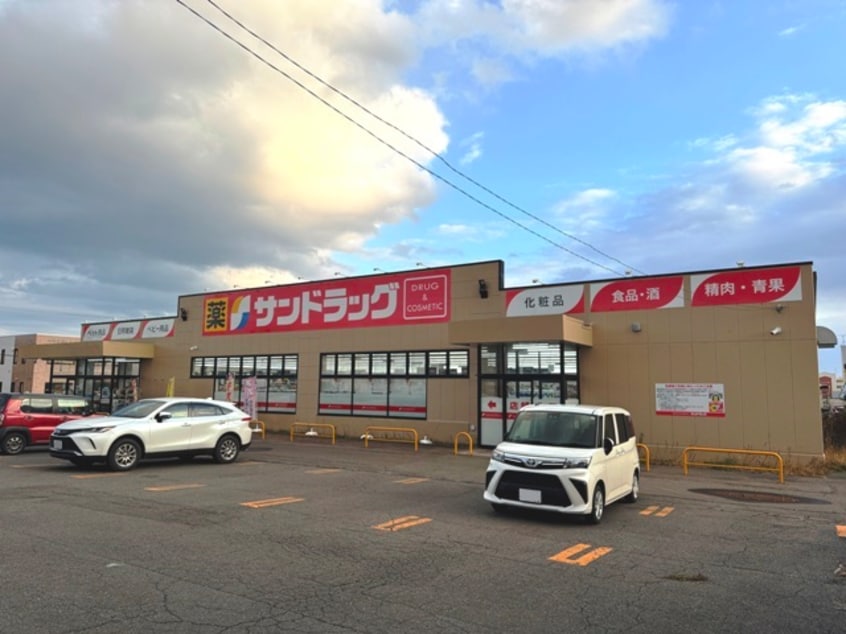 サンドラッグ 春採店(ドラッグストア)まで1058m 春採2-13-26貸家