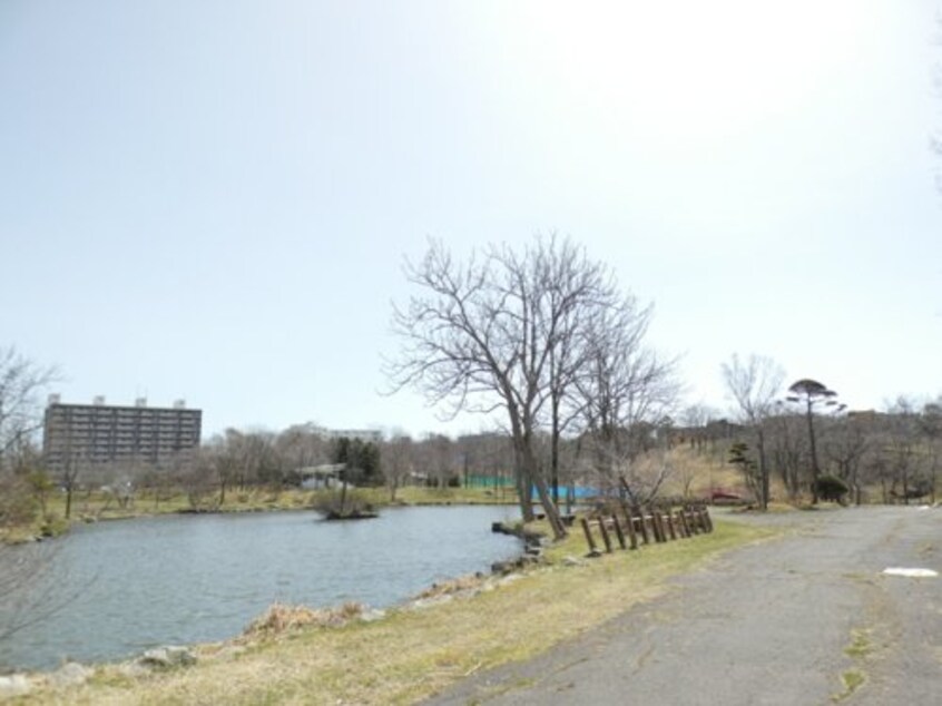 鶴ケ岱公園(公園)まで1041m サクセスⅢ