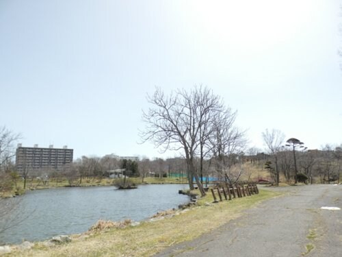 鶴ケ岱公園(公園)まで467m （仮称）住吉2丁目新築AP