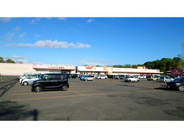 ザ・ビッグ春採店(ディスカウントショップ)まで2253m （仮称）住吉2丁目新築AP