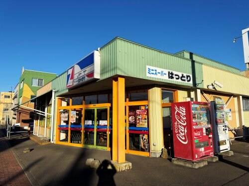 全日食チェーン　デイリーショップ　はっとり(スーパー)まで226m （仮称）住吉2丁目新築AP