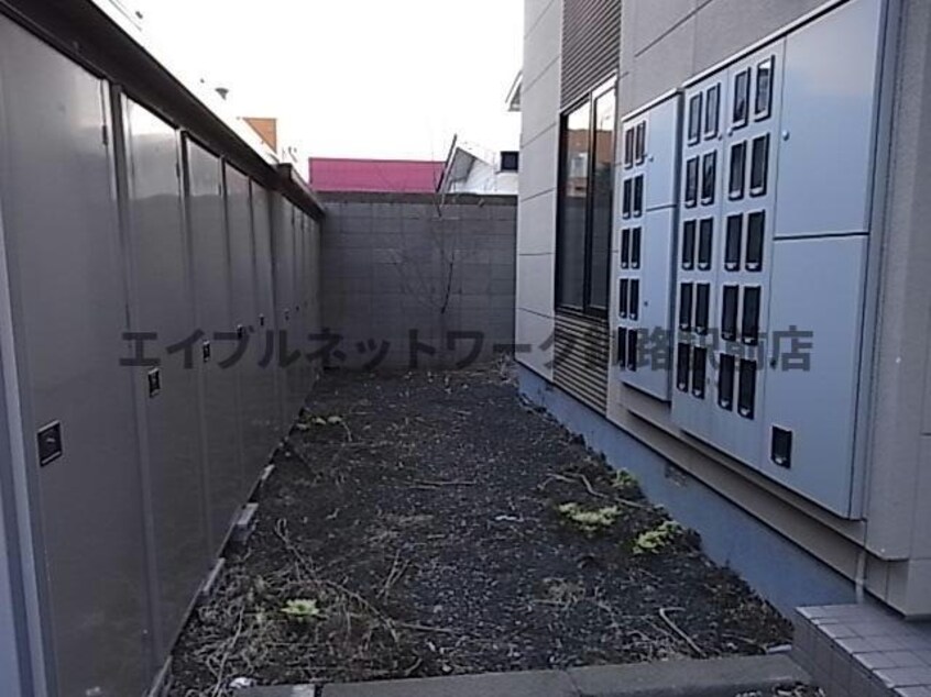  クレイトンハウスＳ