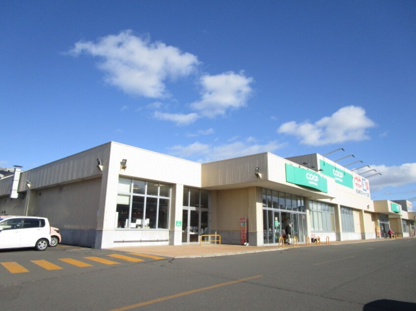 ｺｰﾌﾟさっぽろ中央店(スーパー)まで1589m 若草401マンション