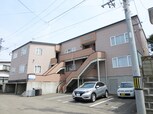 パンプキンⅣ