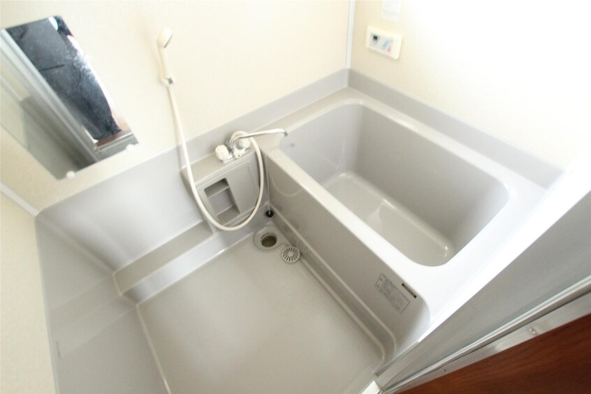  カモミール２６