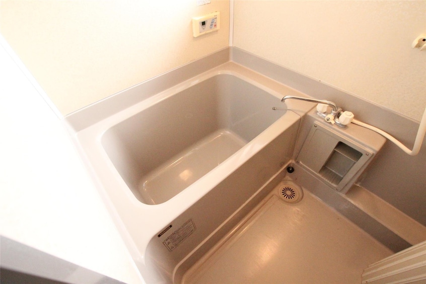  カモミール２１