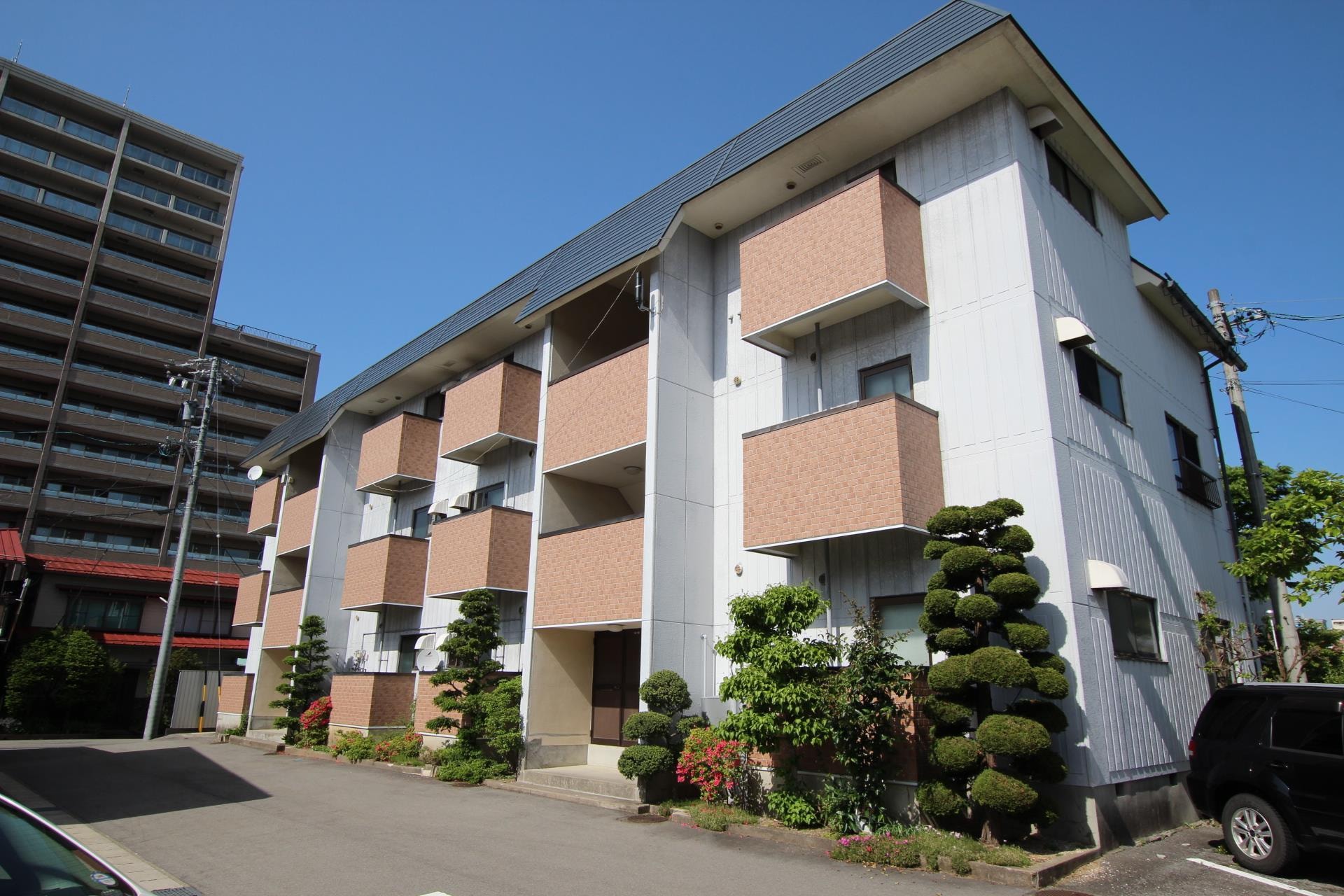  コープサンライズ