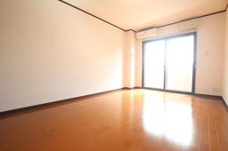 同タイプ反転イメージ