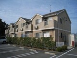 センプリーチェＢ