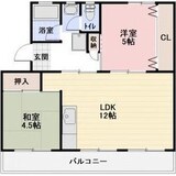 リバーサイドハイツ丸山B