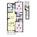 ネオ　アライブの間取図