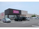 コスモス(ドラッグストア)まで120m カーサ　ピアチェヴォーレ