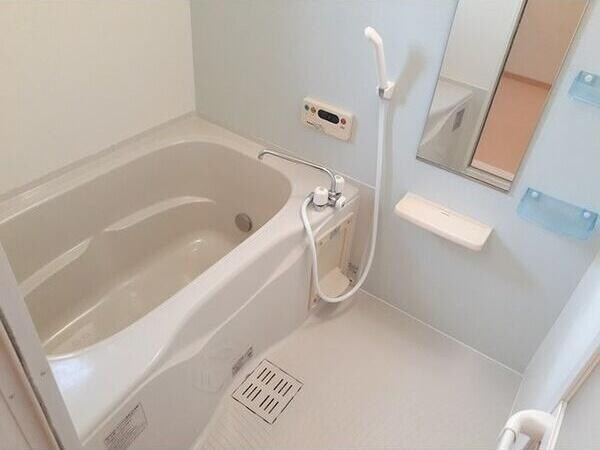  コットン　ハウス　B