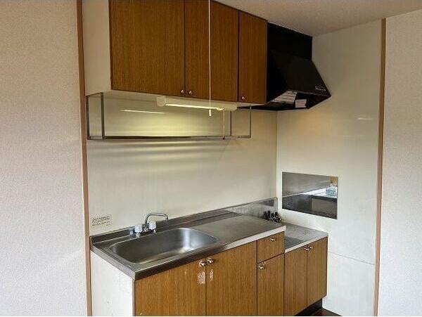  サンサープラスⅡ