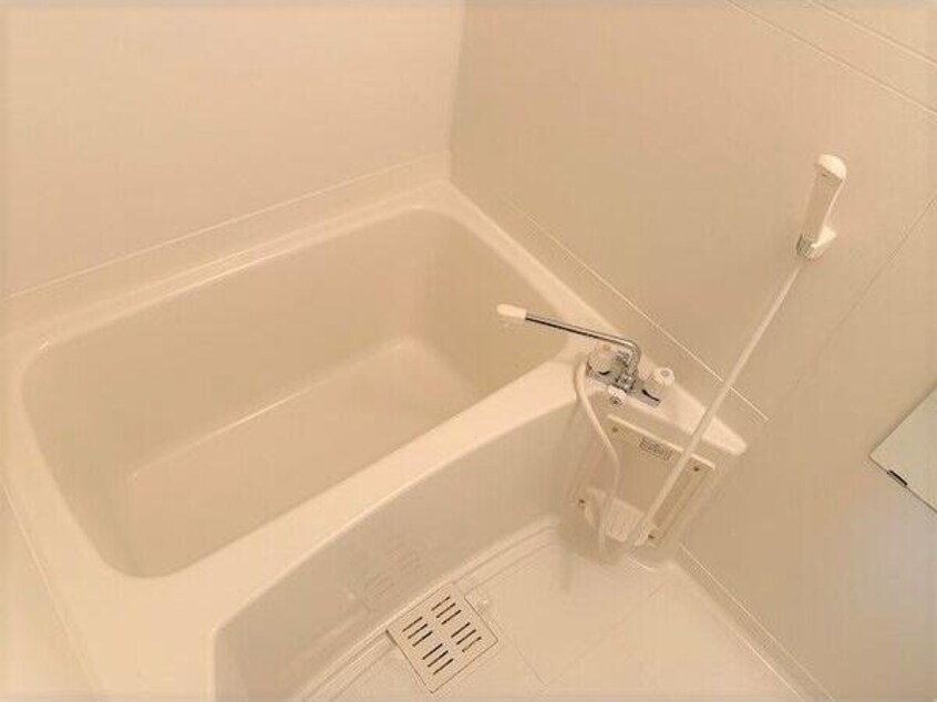  サープラス双葉