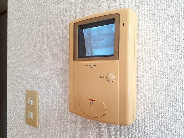  セレノ　スプリング　Α