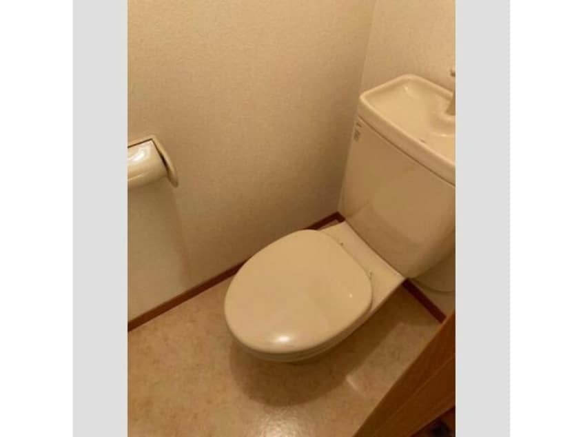  コンフォート錦