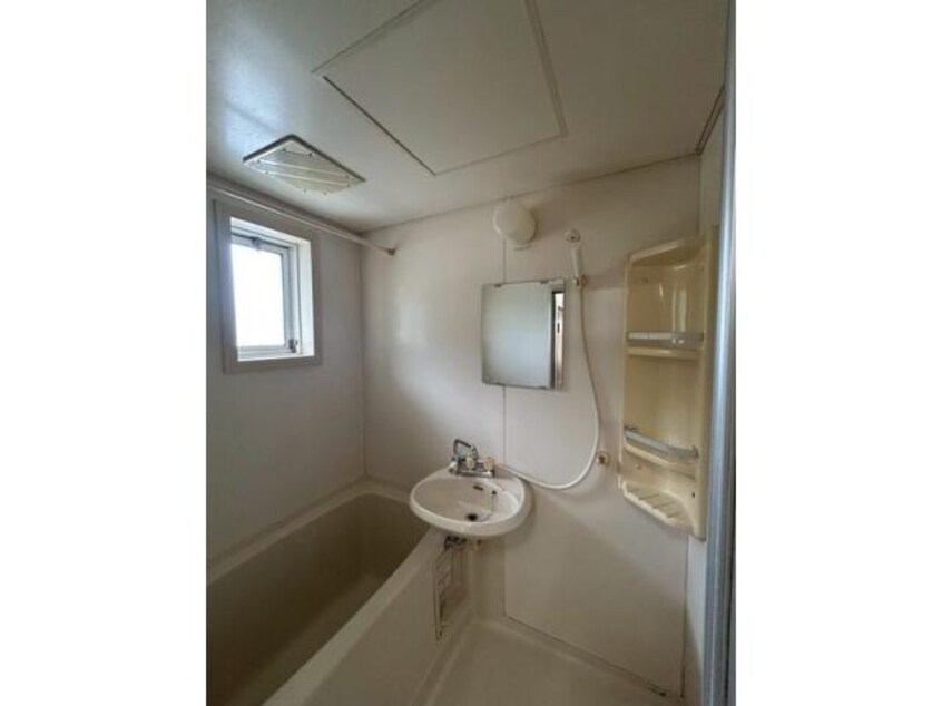  ビブロスヒルC・D