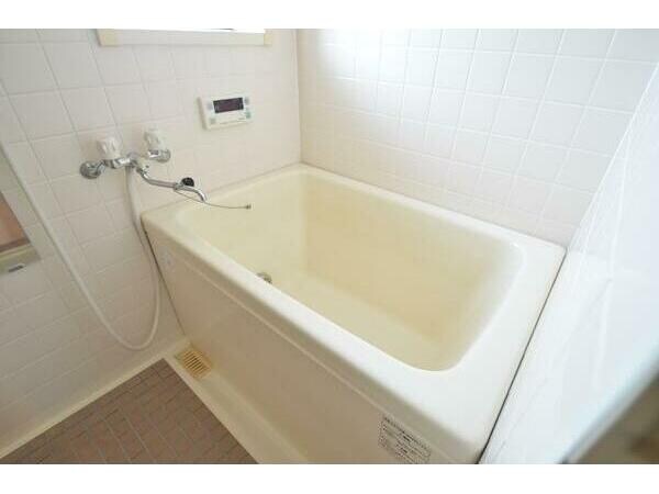  サニーフラワー