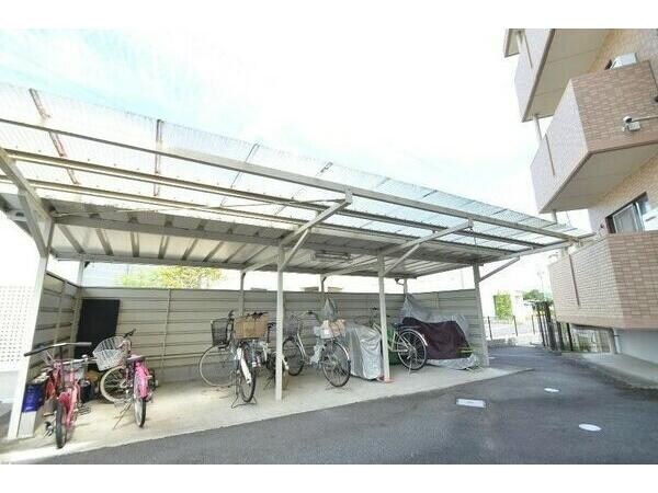  サニーフラワー