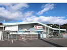 コメリハード＆グリーン御嵩店(電気量販店/ホームセンター)まで2501m サニーフラワー