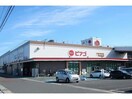 ピアゴ(スーパー)まで250m ファインパーク薬師Ｂ棟