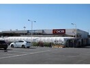 DCM(電気量販店/ホームセンター)まで1800m カーサ・ひまわりⅡ
