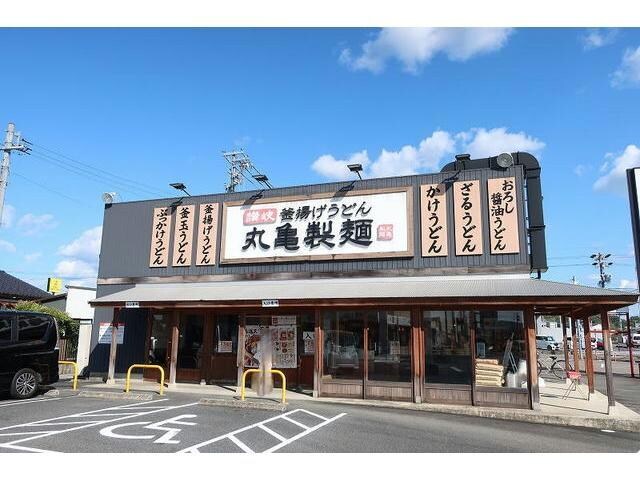 丸亀製麺(その他飲食（ファミレスなど）)まで300m アントレッド