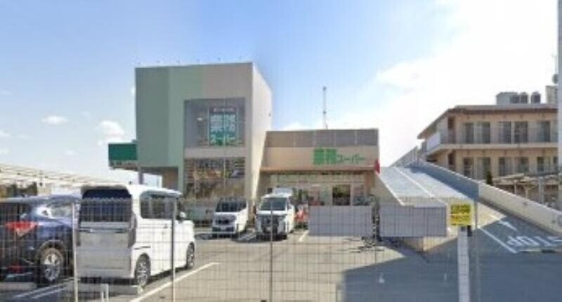 業務スーパー TAKENOKO 彩都店(スーパー)まで238m ソレイユ　アオ