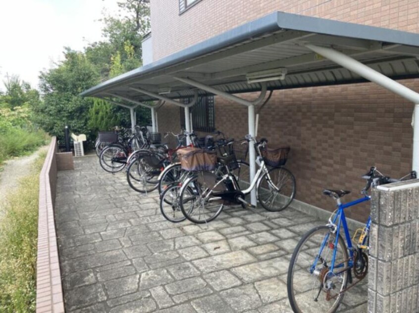 駐輪場 コージィコート桜井