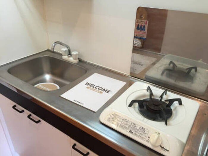  ヴェルドミール