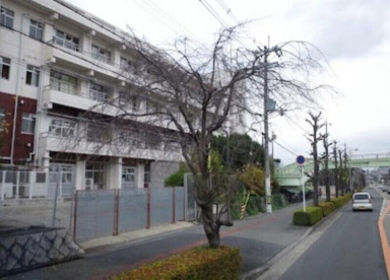 箕面市立中小学校(小学校)まで51m メープルヒル