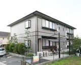 メイプルバレイ