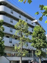 グラシアミノオⅠ