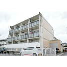 peddy marryⅡの外観