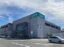 ニトリ箕面店(電気量販店/ホームセンター)まで498m サンマリーヒル