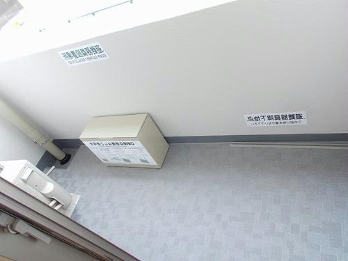  ステラ　アイエス