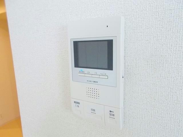  ステラ　アイエス