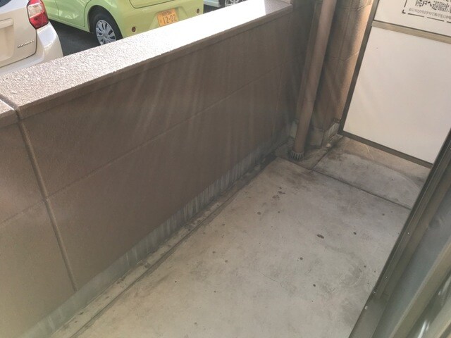  オーシャン・ステラ