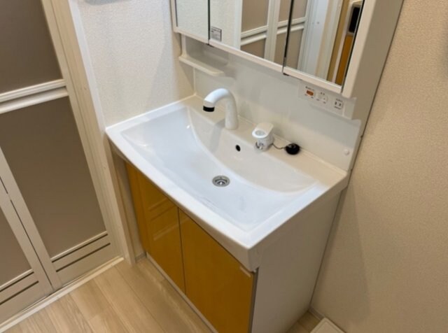  ファラリータ・ノエル