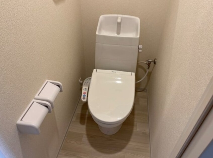  ファラリータ・ノエル