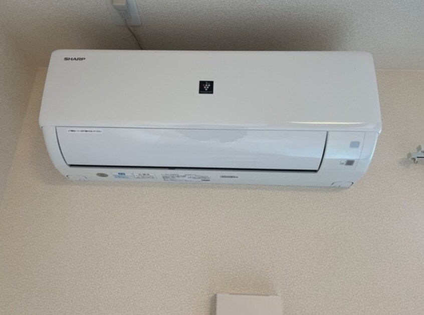  ファラリータ・ノエル