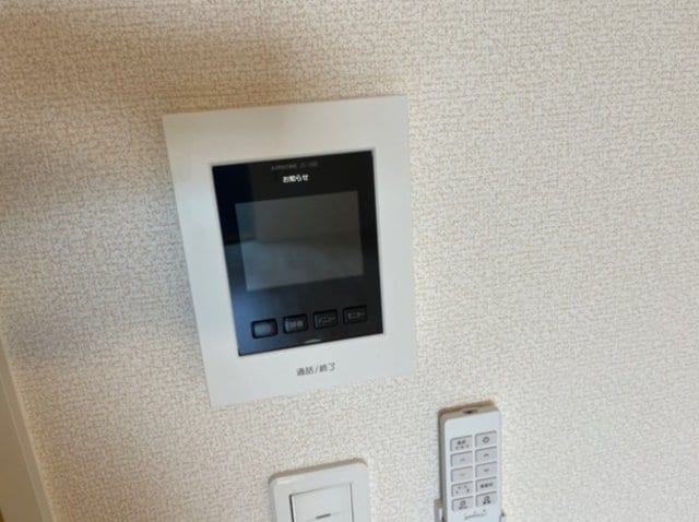  ファラリータ・ノエル