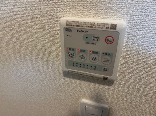  ファラリータ・ノエル