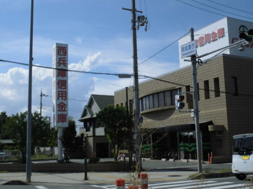 西兵庫信用金庫飾磨支店(銀行)まで733m サンタ・アナ