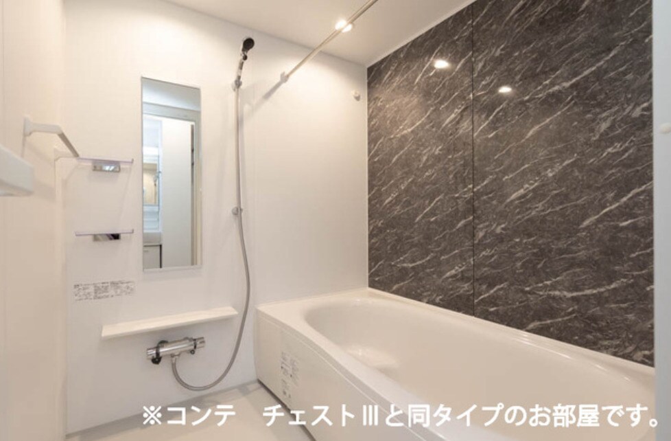  アルファポレールⅡ