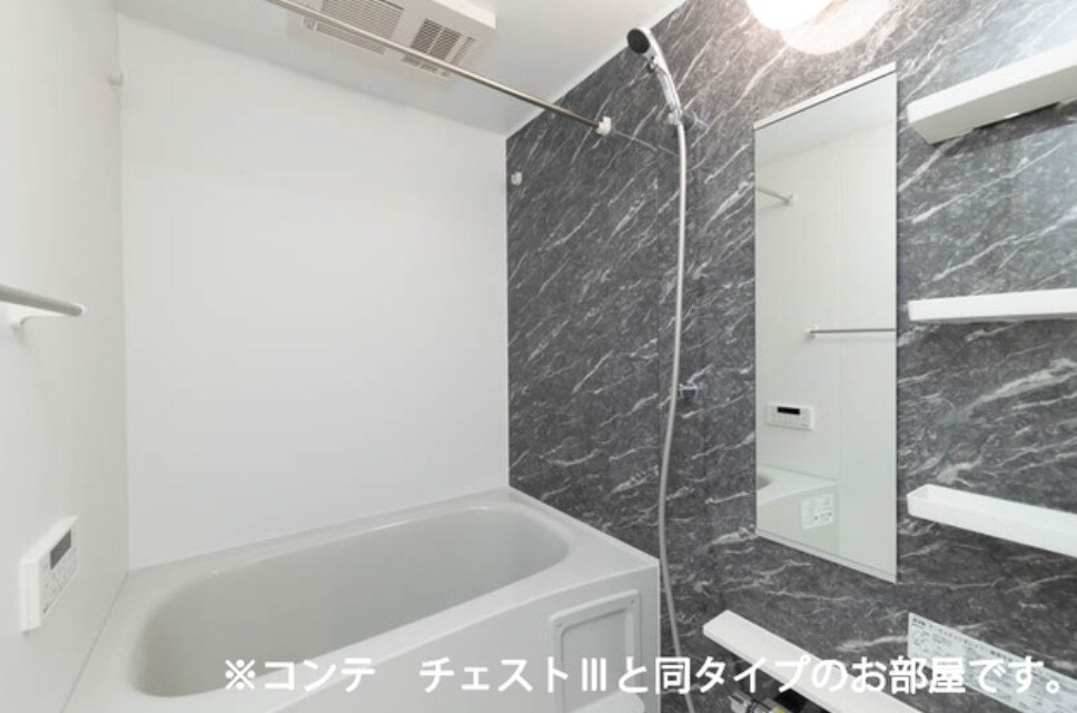  アルファポレールⅡ