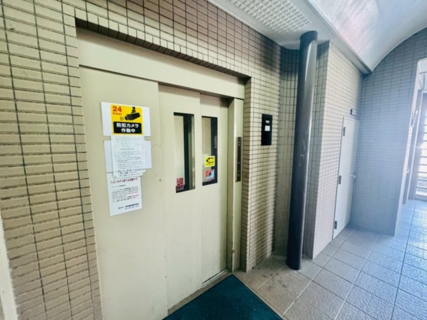  イスズベル八代