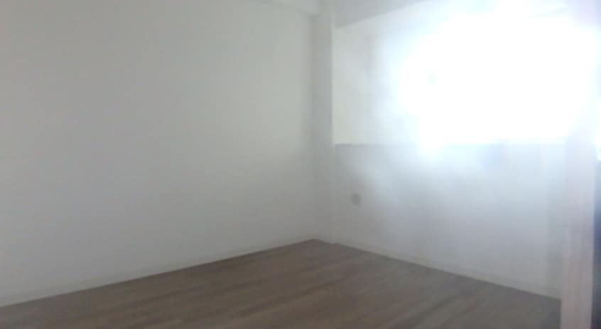  パーク・フォレスト