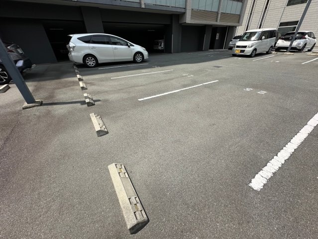  パレー　ブランシェ